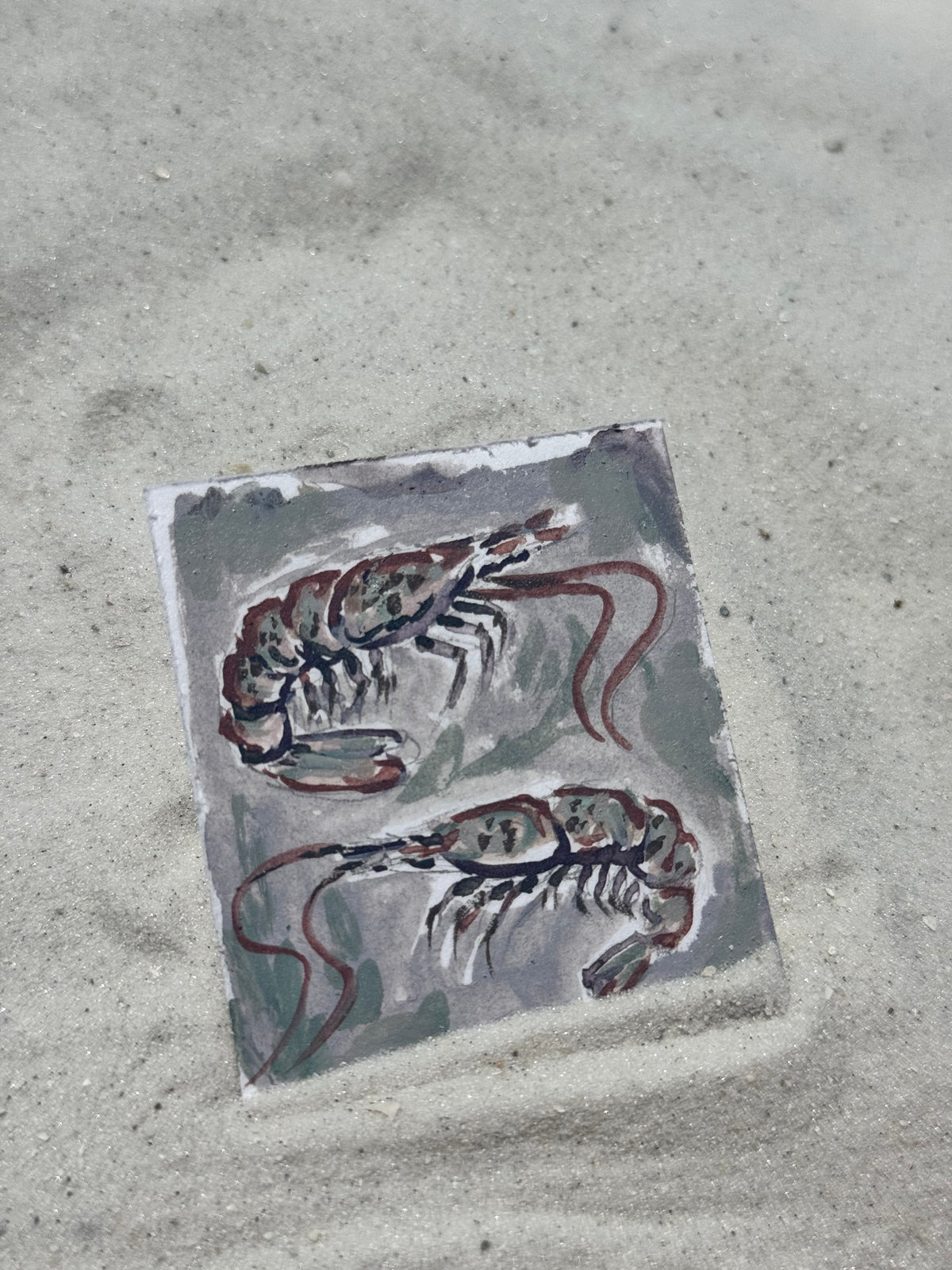 Mini sea creatures opaque